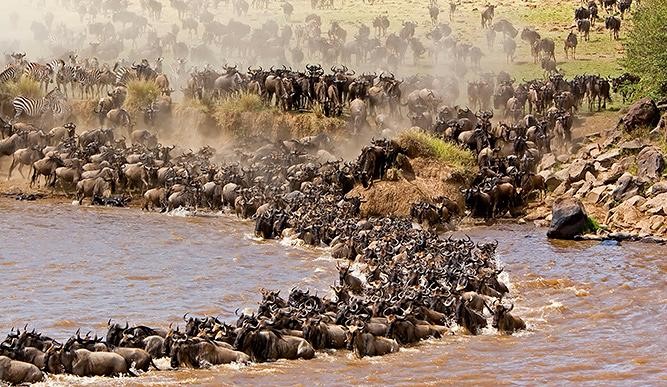 Dream Travel Last- East Africa
